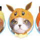 Illustration for article titled iPokémon/i Cosplay Has Gotten Easier For Catsem/em